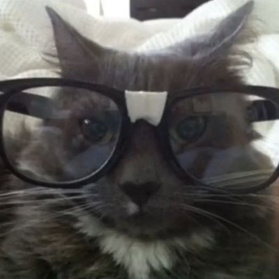 NotflixFN's profile picture. 