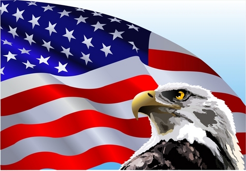 A locally owned auction and real estate company specializing in the liquidation of business assets, municipal surplus and real estate since 1989. NCAL: 7026
