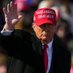 Posts from Donald Trump (@funfacthubb) Twitter profile photo