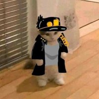 BonkiDule (@majinbouboujr) 's Twitter Profile Photo