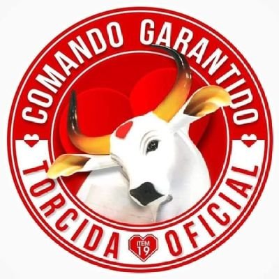 Torcida oficial do boi @garantido, desde 1996 ❤️