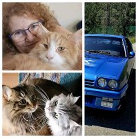 Barbara Talas (@btalaschf) Twitter profile photo