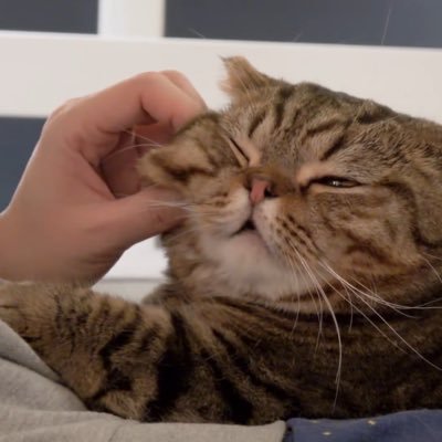 dalbyue's profile picture. 