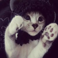 :p (@in54nityx) 's Twitter Profile
