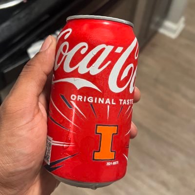 roheathen's profile picture. CS @UofIllinois | Engineering