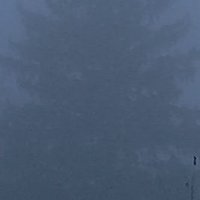 🇵🇱 ShadowMedic ☕️ (@shadowmedicpl) 's Twitter Profile