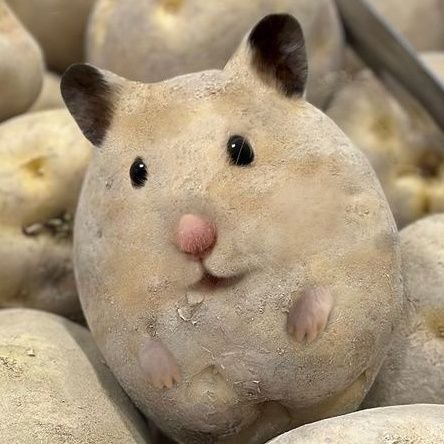 anjaanjanda's profile picture. 혹시 이번 꿈도 이루어질까 봐, 항상 다른 꿈을 꾸고 있어