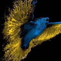 ➖️VC-DESIGN- Van Crey DESIGN (@sfutorian) 's Twitter Profile Photo