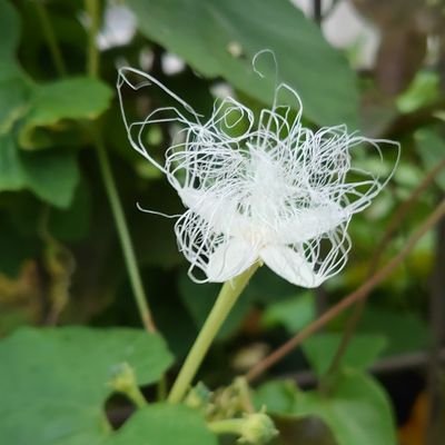 MpQYinZjwE74733's profile picture. 