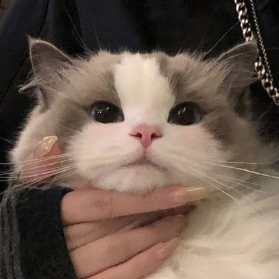 1225youandmeK_'s profile picture. ピアノ奏でる麗しの𝐏𝐫𝐢𝐧𝐜𝐞𝐬𝐬あおきくん💞