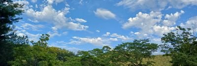 njkim080's profile picture. 