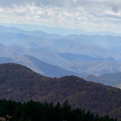 Not that it matters: B.S. Marketing, M.S. Human Resource Development, J.D. Law…from taxpayer supported universities in NC. Student loans fully repaid by ME.