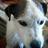 Mitzi (@mitzi820) 's Twitter Profile
