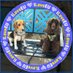 cocker.beagel.rejina.cleo (@coco_peyman_lil) Twitter profile photo