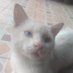 15detik (@muhamma59620352) Twitter profile photo 15detik (@muhamma59620352) Twitter profile photo