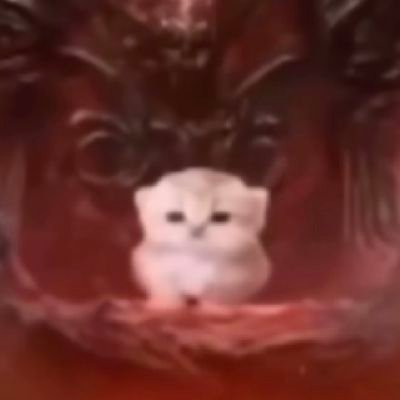 mukmakさんのプロフィール画像