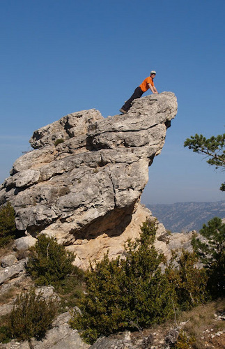 evelioml's profile picture. 