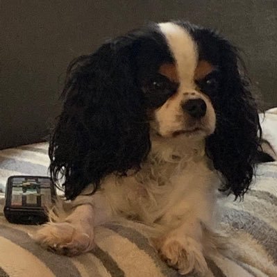 Gnemfran's profile picture. 🌊🌊🇫🇷🇺🇸🇮🇹