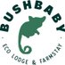 Bushbaby Lodge (@staybushbaby) Twitter profile photo Bushbaby Lodge (@staybushbaby) Twitter profile photo