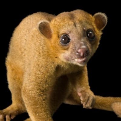 nekosuki_31's profile picture. 動物、映画、アニメ、が大好きです。大学生の日常をつぶやきます