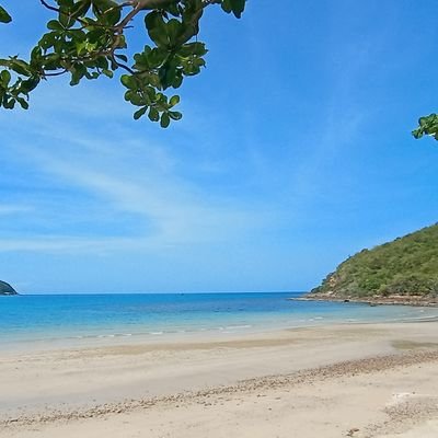 MagnoliaJ07's profile picture. กลับมาโฟกัสตัวเอง❀
ดูแลสุขภาพ พัฒนาตัวเอง วางแผนการเงิน/ลงทุน