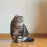 meme_20201230's profile picture. ベロがでています・⩌・