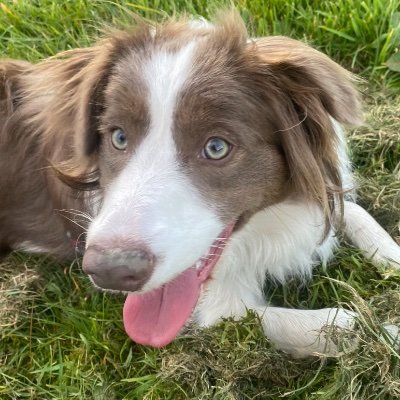 Bella240970's profile picture. 