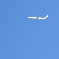 はんだ (@zuou_ankle) 's Twitter Profile Photo