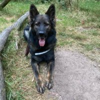 RPD Belle (@rpdbelle) 's Twitter Profile Photo RPD Belle (@rpdbelle) 's Twitter Profile Photo