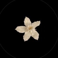 َ (@mryamalm_) 's Twitter Profile