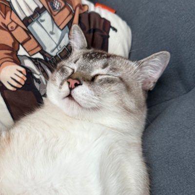 Joanneさんのプロフィール画像