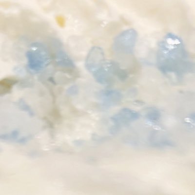 しお🐟さんのプロフィール画像