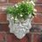pippa_gail's profile image