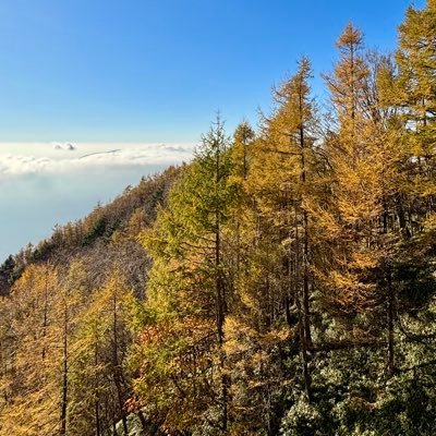 shuich91's profile picture. ◼︎Music, Jazz guitar, Gourmet, PC, Travel, Car, Bicycle, Tennis etc. ◼︎Technical director at US-based company