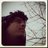 VictorJRodriguz's profile image