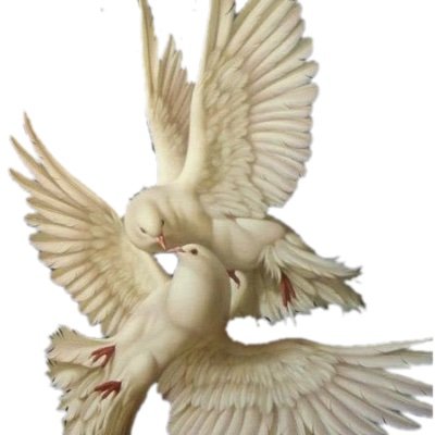 motas_supr's profile picture. 