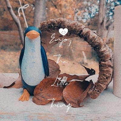 McPea54's profile picture. I wear a coat of many colors.
Thanks be to God. 

🇺🇸 Fight Fascism. Fiscal conservative & social justice advocate. Personal responsibility proponent. 🇺🇲