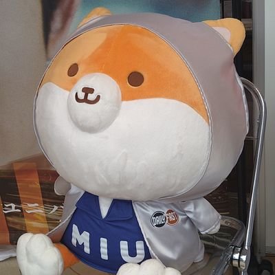 かずちゃんページ かずちゃん (@yururikazuchan) / Posts / X