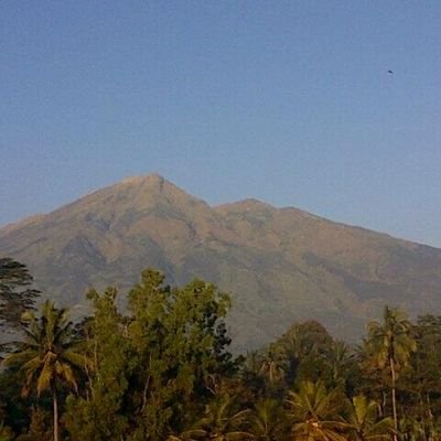 pegawaiswasta00's profile picture. 