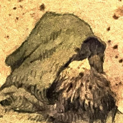神戸新一さんのプロフィール画像