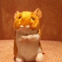 cameron wood - @camdog9911 - Twitter