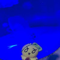 Ami⭐︎ (@chocoami2000) 's Twitter Profile