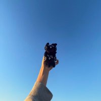 サーシャ🐱 (@engj_sasya) 's Twitter Profile