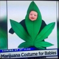 jack (@kaikaikai7777) 's Twitter Profile
