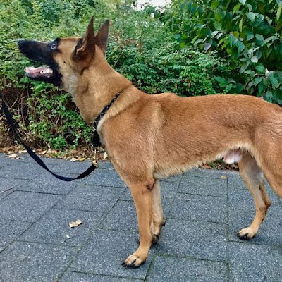 LealohiS39729's profile picture. 