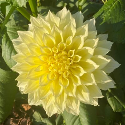 tbrax5's profile picture. ITF, Business/Marketing/Technology Teacher, lifelong learner. Tweets are my own. John 15:12