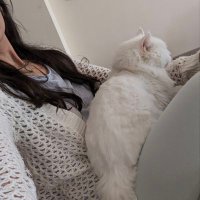هدهد الجناين (@schmooksiepoo) 's Twitter Profile Photo هدهد الجناين (@schmooksiepoo) 's Twitter Profile Photo