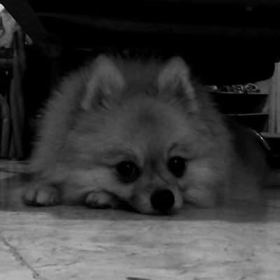 meggylzr's profile picture. beepboop