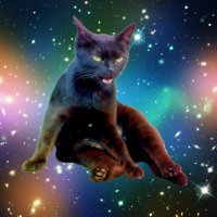 uı̣ɹɐʞnʎ🐸 (@10yukarin10) 's Twitter Profile