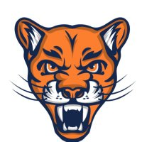 J.L. Chambers Women’s BBall (@jccougarswbb) 's Twitter Profile